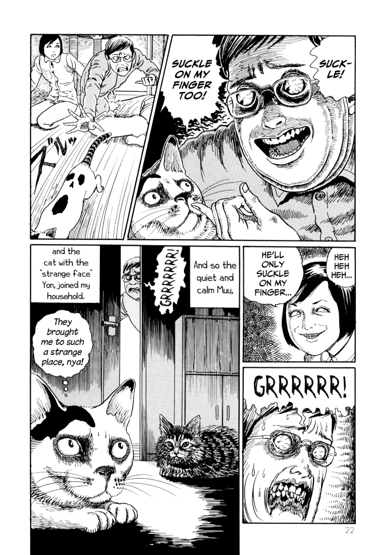 Junji Itos Cat Diary Yon Mu Slings Arrows