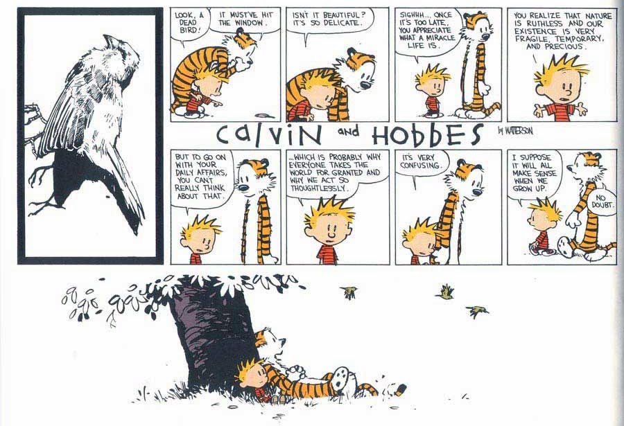 Calvin and Hobbes The Days are Just Packed review