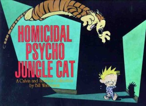 Homicidal Psycho Jungle Cat: A Calvin and Hobbes Collection cover