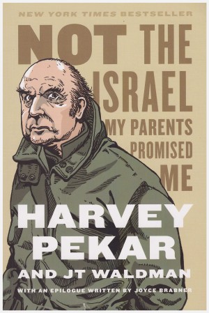 Not the Israel my Parents Promised Me cover