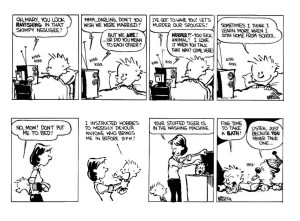 Calvin and Hobbes review