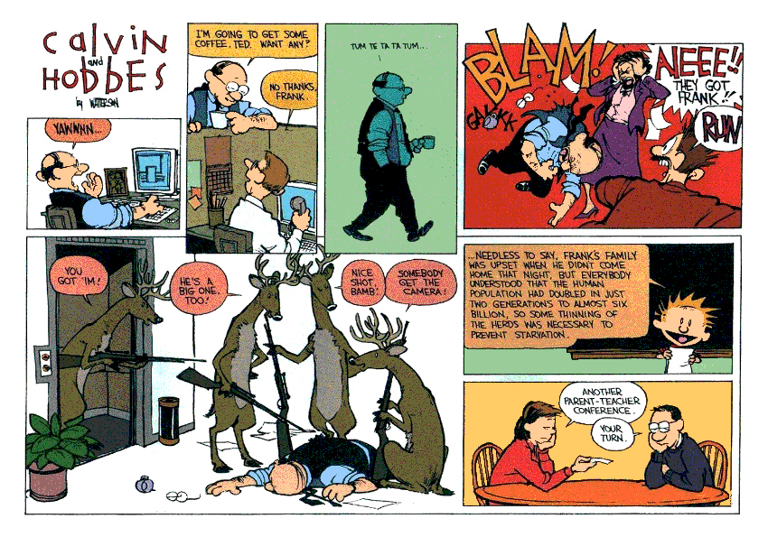 Calvin and Hobbes There's_Treasure_Everywhere review