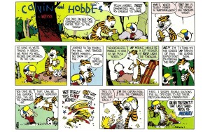 Calvin and Hobbes Yukon Ho! review