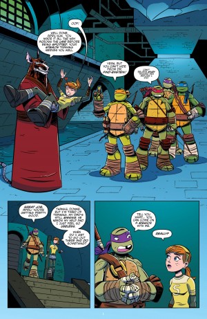 Teenage Mutant Ninja Turtles - New Animated Adventures Omnibus V1 review