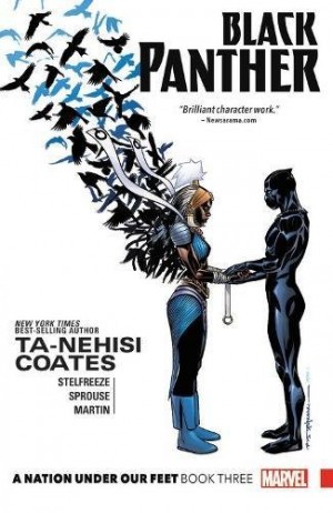 Black Panther: A Nation Under Our Feet Book Three cover
