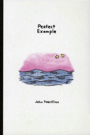 Perfect Example cover
