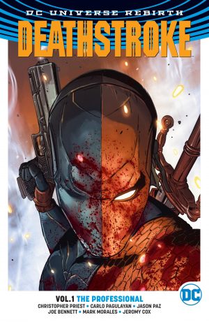Deathstroke Vol. 1: The Professional cover