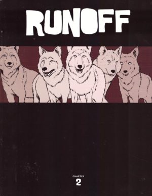Runoff Chapter 2 cover