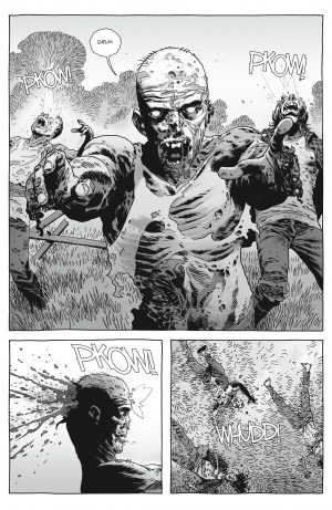 The Walking Dead Book 13 review
