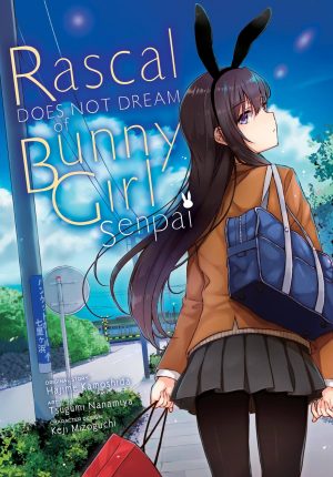 Rascal Does Not Dream of Bunny Girl Senpai cover
