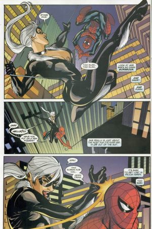 Spider-Man and the Black Cat The Evil That Men Do review