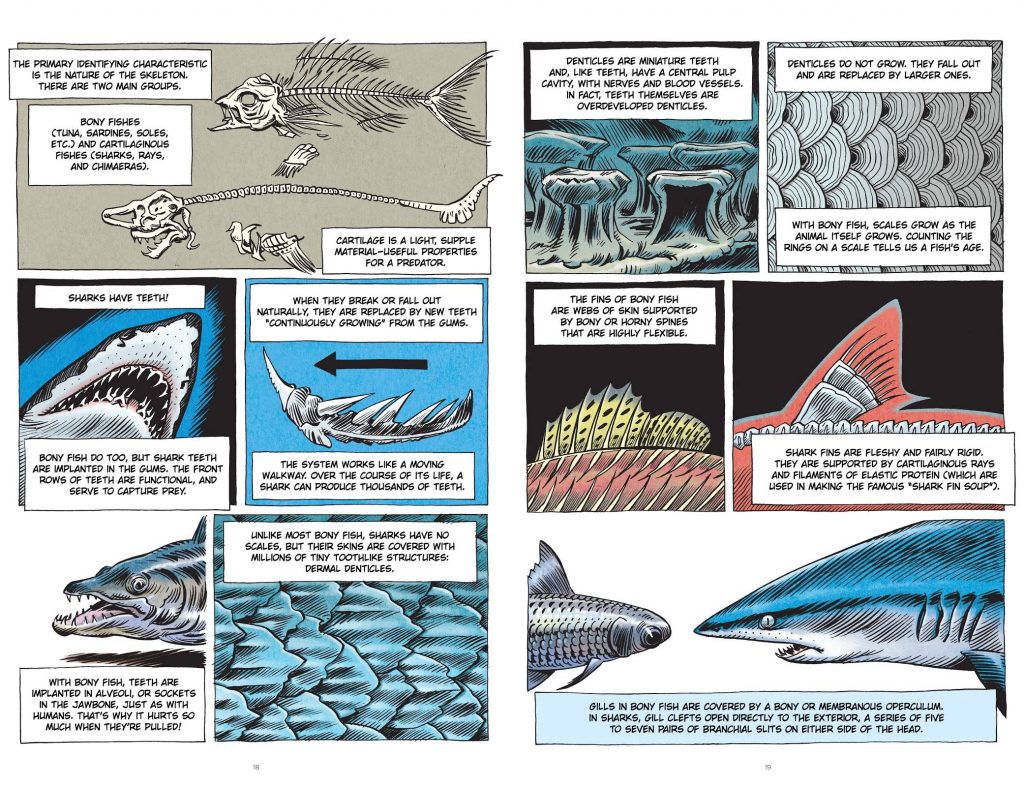 Little Book of Knowledge Sharks review