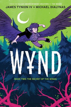Wynd Book Two: The Secret of the Wings cover