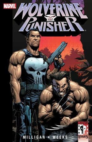 Wolverine/Punisher cover