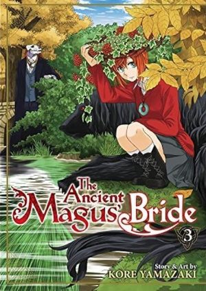 The Ancient Magus’ Bride 3 cover