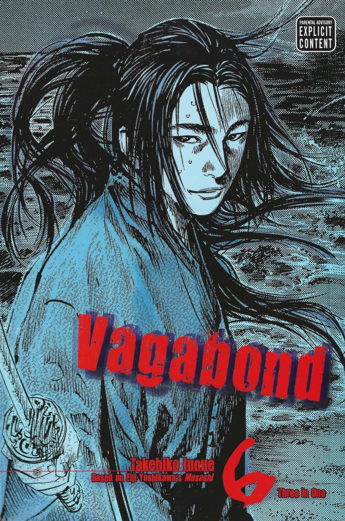 Vagabond VizBig Edition 6