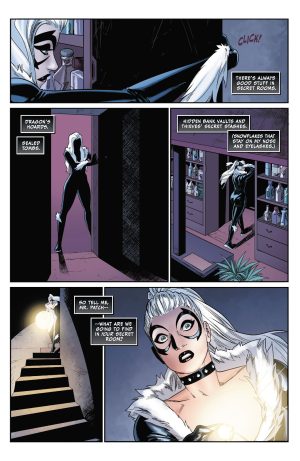 Black Cat On the Run review