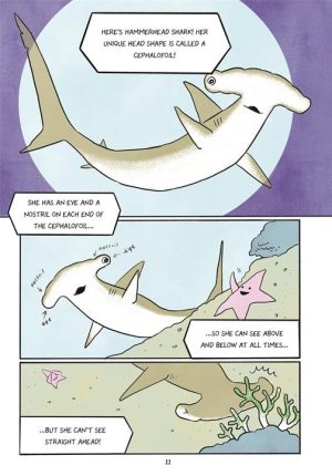 Survival of the Fittest Who Will Come Out On top review